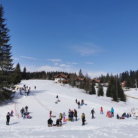 Apartmani Suncani breg Tara Mitrovac Bagian luar foto