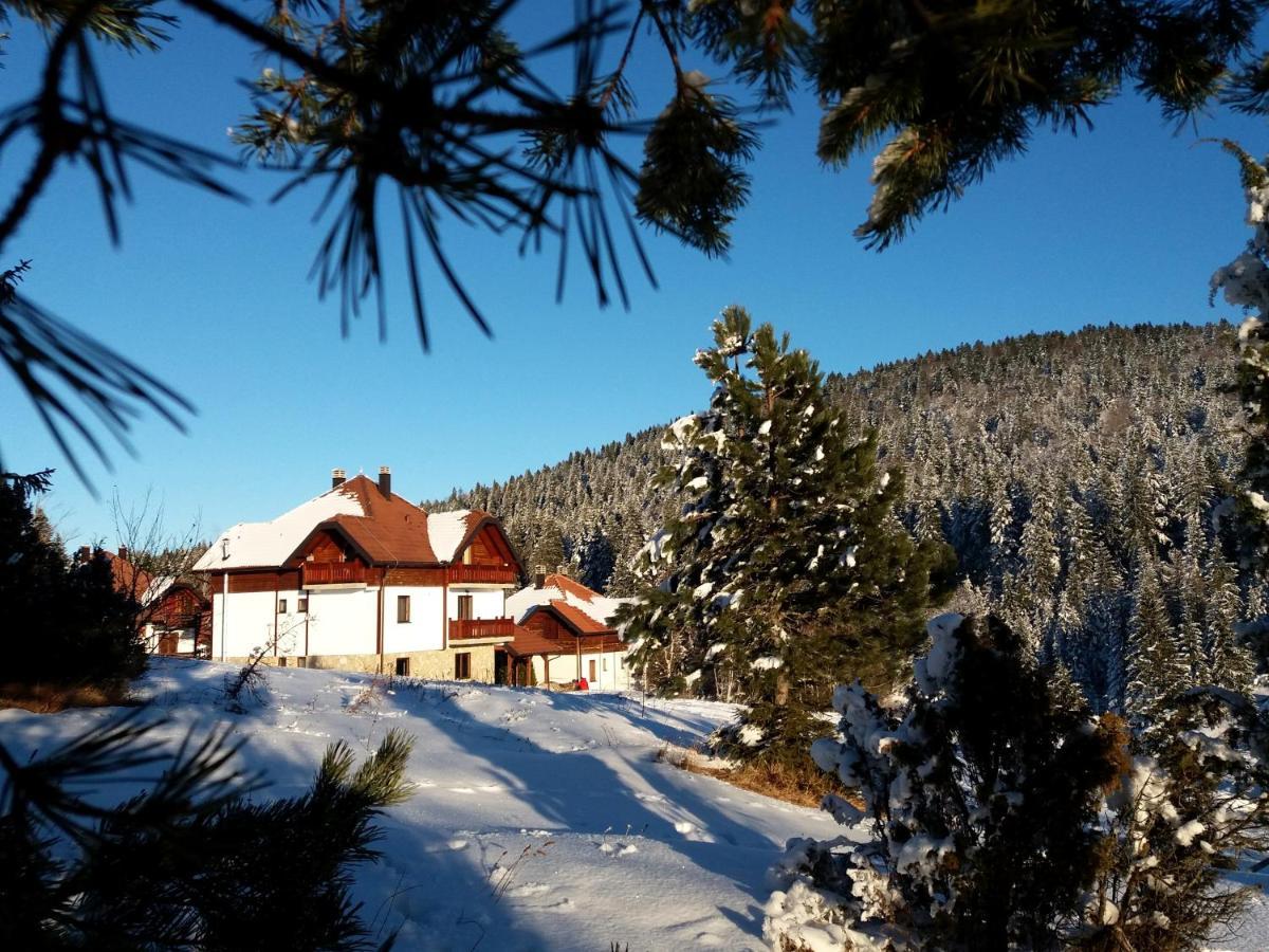 Apartmani Suncani breg Tara Mitrovac Bagian luar foto
