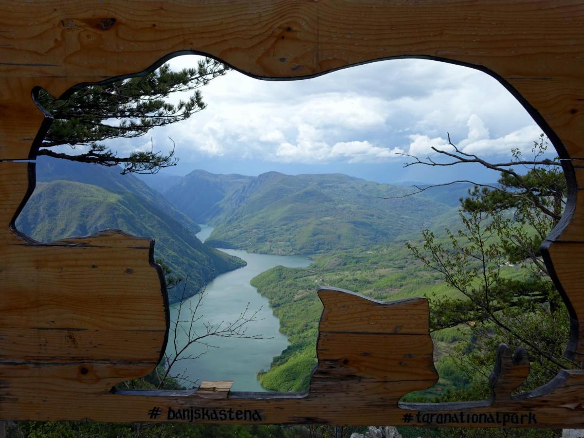 Apartmani Suncani breg Tara Mitrovac Bagian luar foto