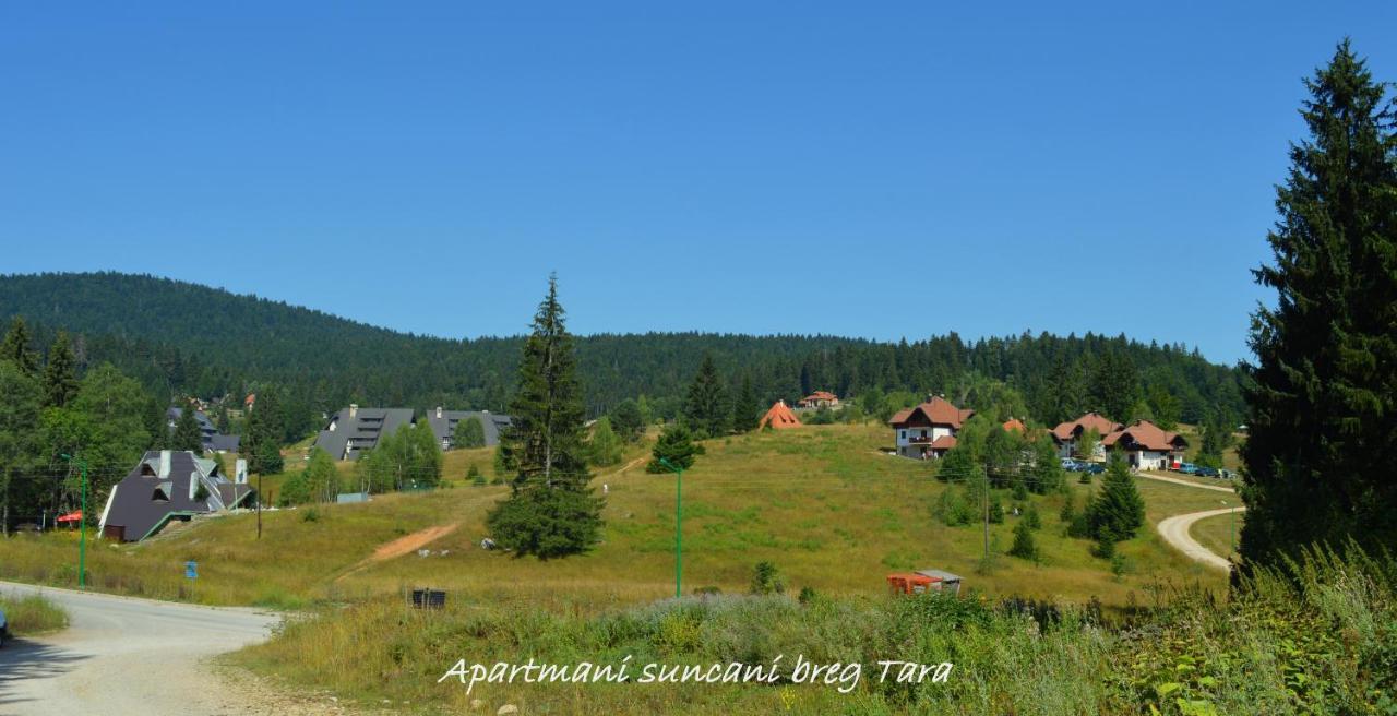 Apartmani Suncani breg Tara Mitrovac Bagian luar foto