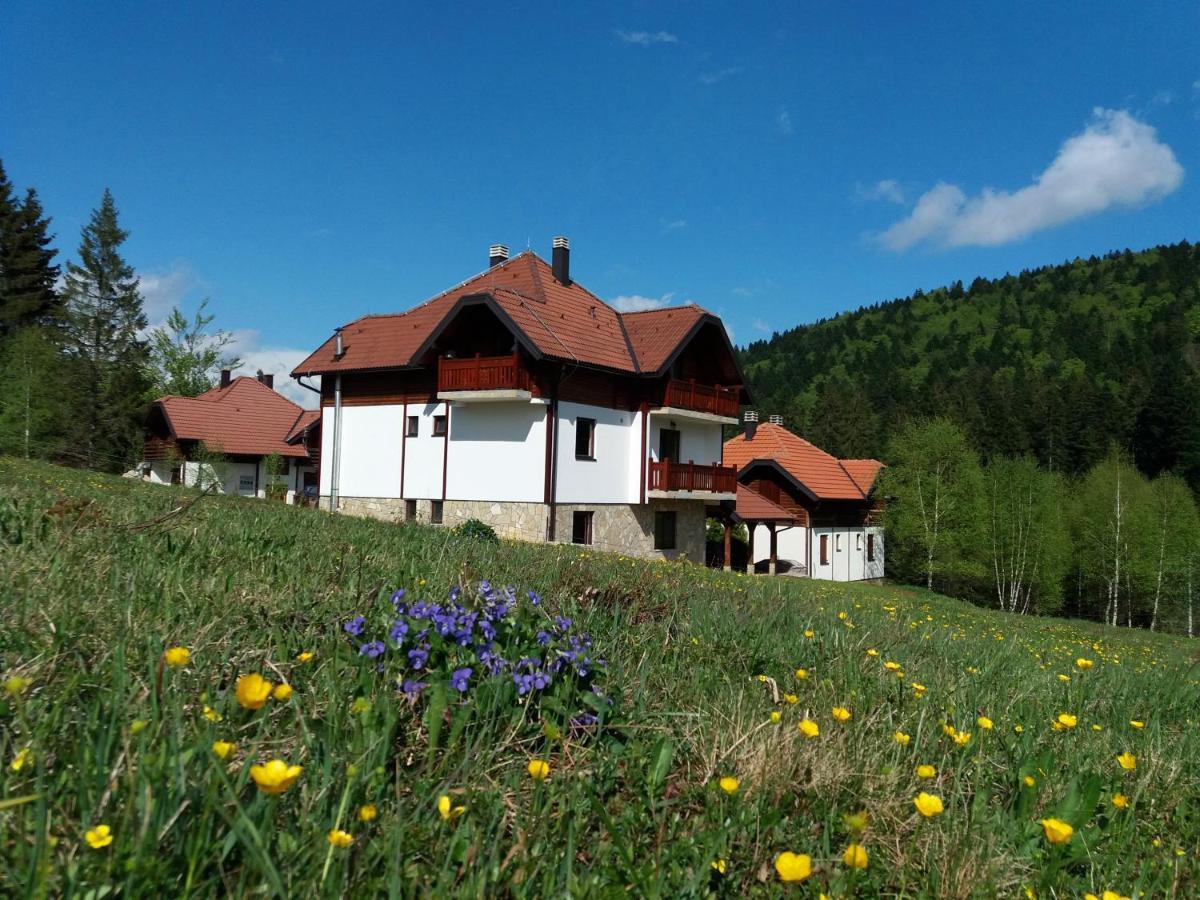 Apartmani Suncani breg Tara Mitrovac Bagian luar foto